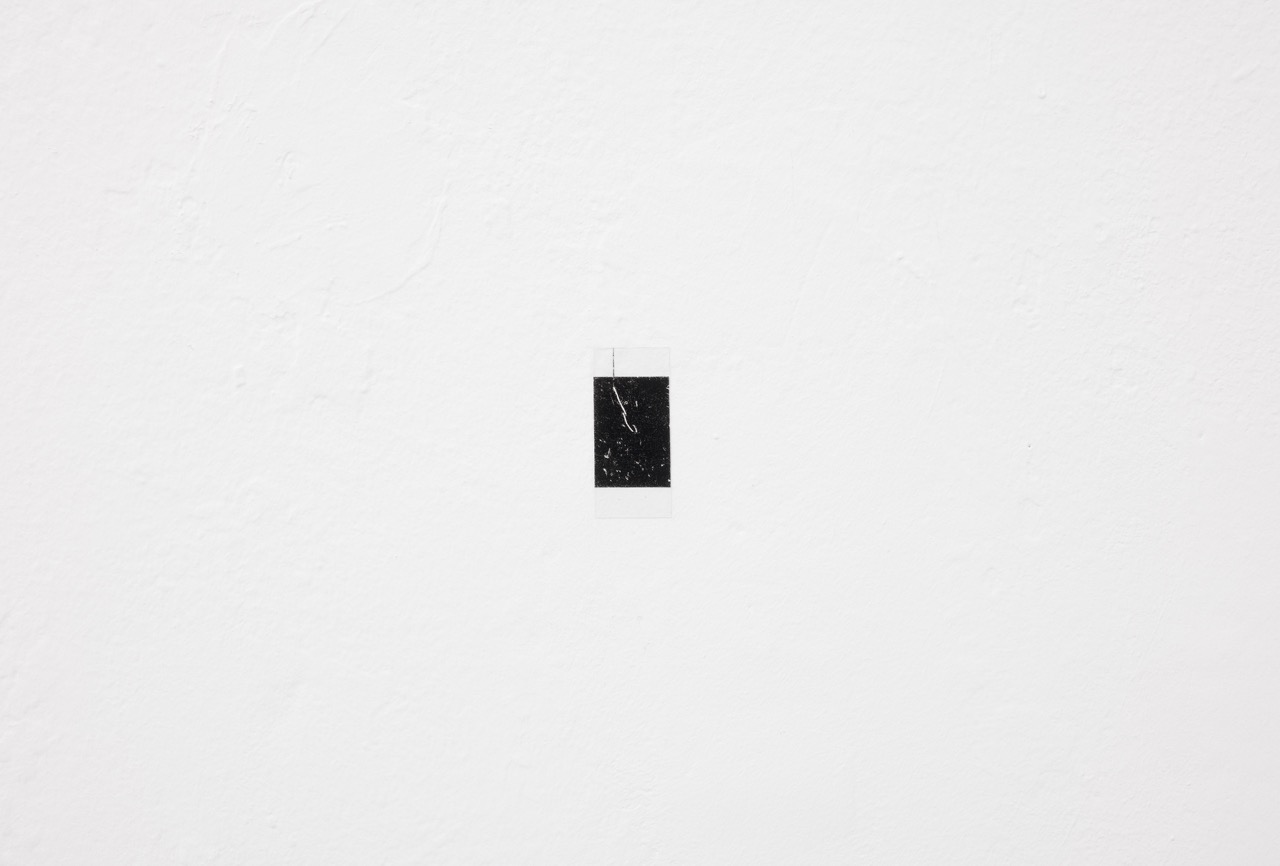 Image for Dustings from the observatory